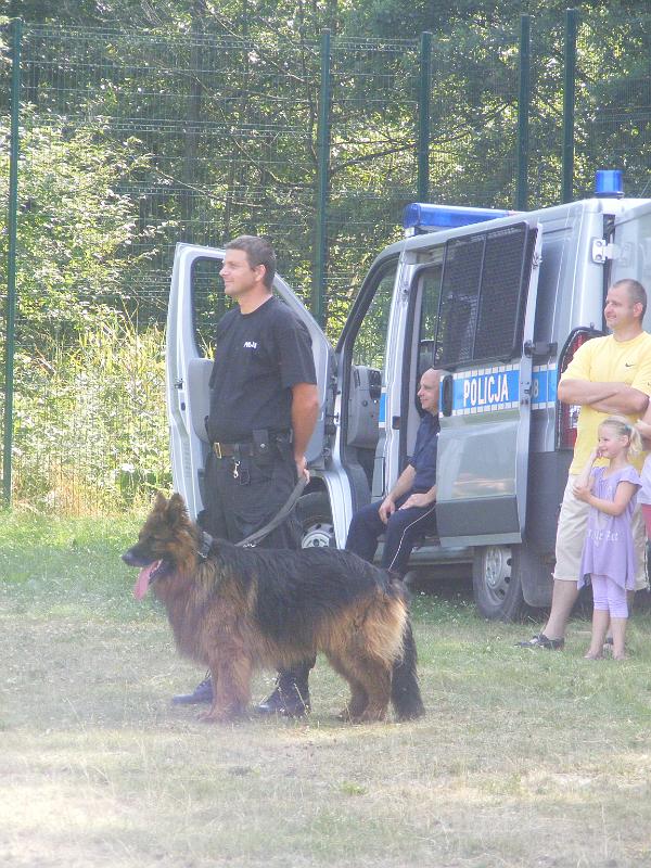 01.07.12r. FESTYN 126